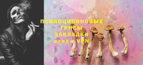 мяу мяу мука Абаза