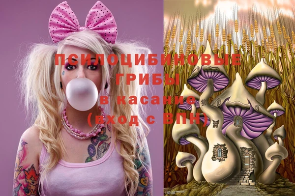 мяу мяу мука Абаза