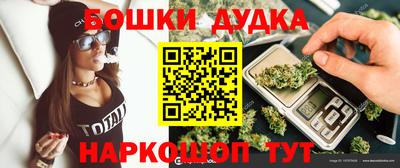 МДПВ Партизанск