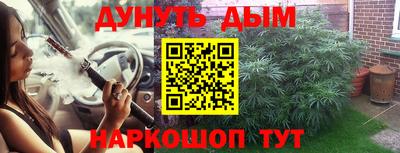 МДПВ Партизанск