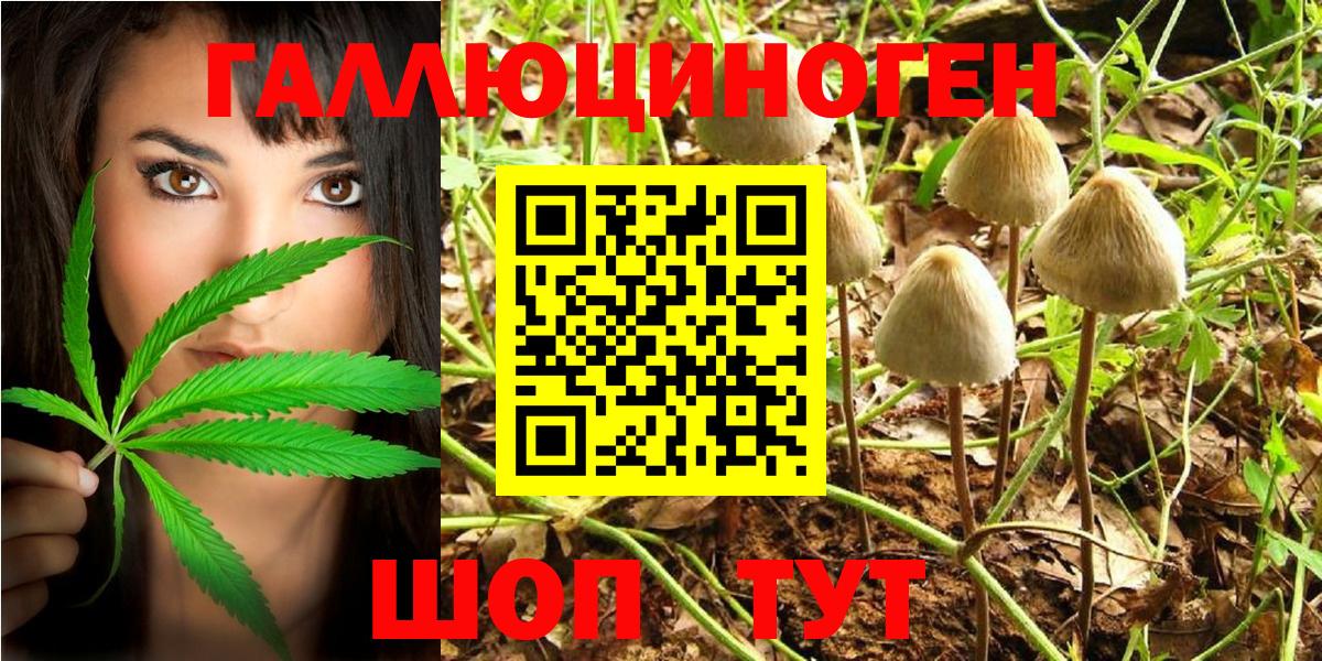 Псилоцибиновые грибы мухоморы  Вход с VPN  Псилоцибиновые грибы MAGIC MUSHROOMS  купить наркотики цена  Заринск 
